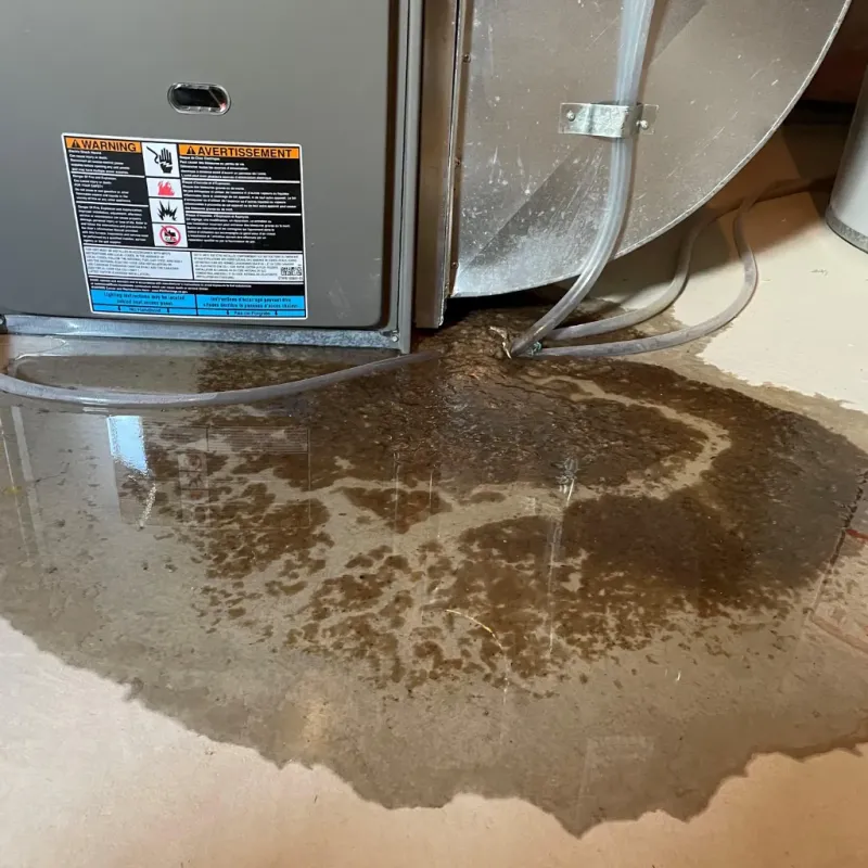 Appliance Leak Cleanup in Kahului, HI