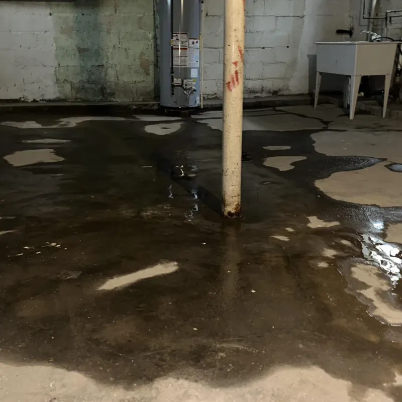 Emergency Water Extraction And Removal in Kahului, HI
